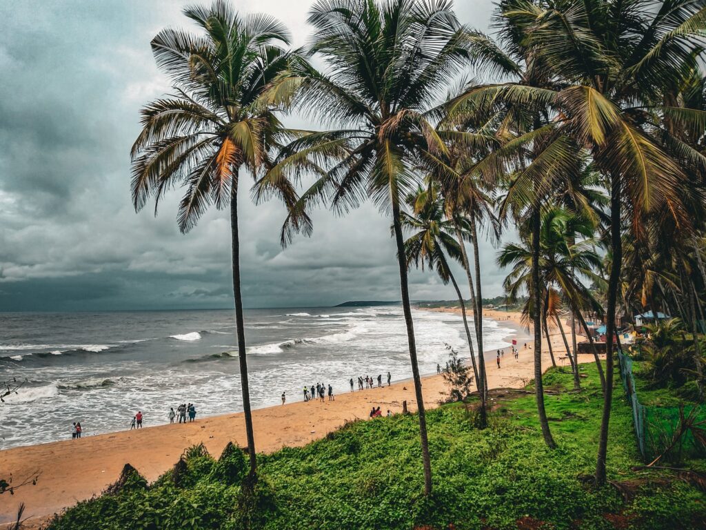 a beach with palm trees and people on it- Goa beach